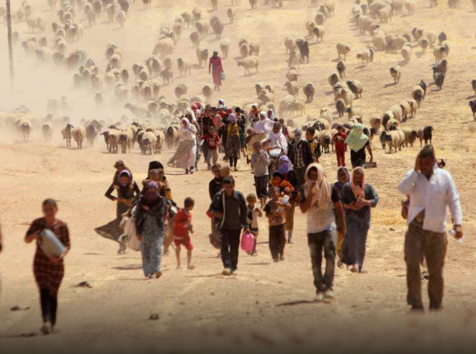 Faire cesser les massacres de Yézidis par la Turquie